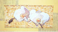 orquideas