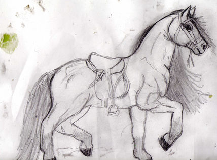 Caballo de juguete 2