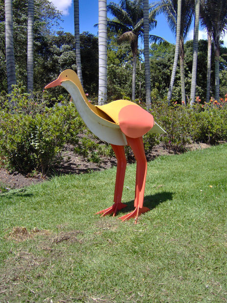 Tingua bogotana