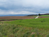 Paisaje castellano