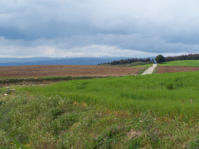 Paisaje castellano 