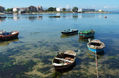 las barcas