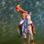 Polo thumbnail 2