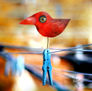 Dolca bird