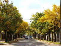 Calle de otoño