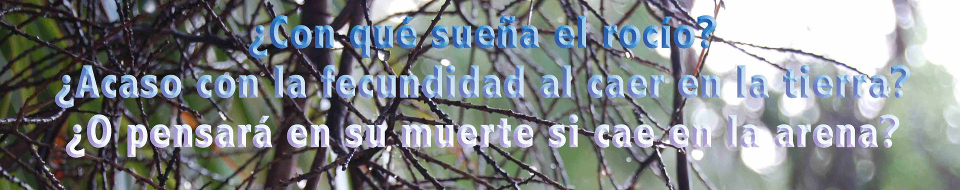 Imagen de portada