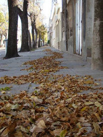 Vereda de otoño