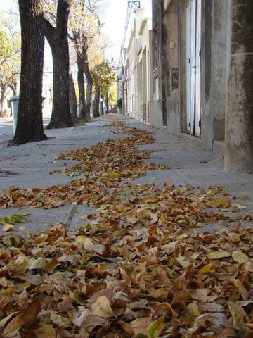 VEREDA DE OTOÑO Architecture and Interiorism Color (Digital)