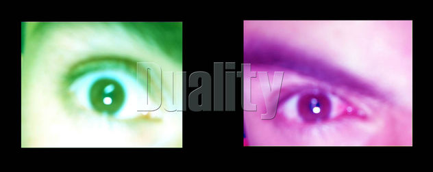 Duality