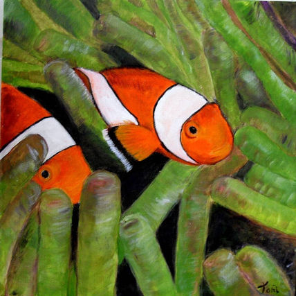 Peces payaso