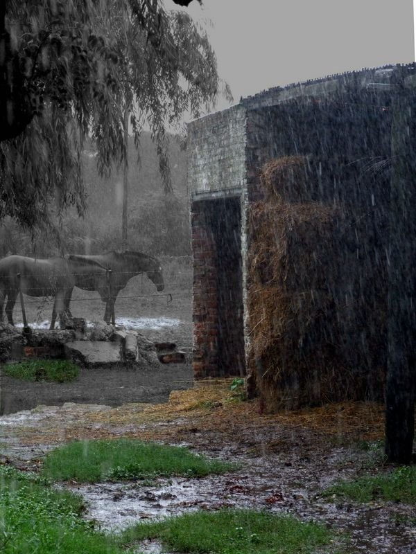 Espera bajo la lluvia