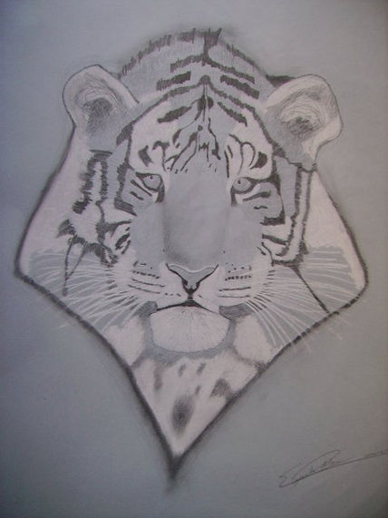 Tigre