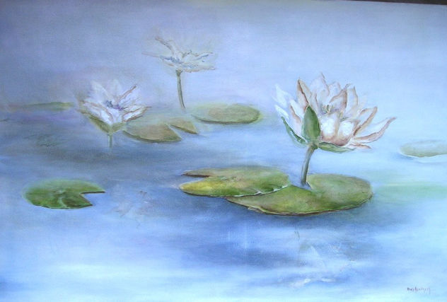Nenufar
