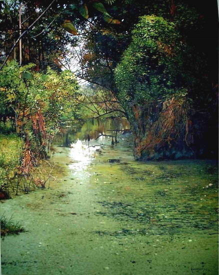 Canal Oil Canvas Landscaping