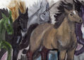 CABALLOS EN LIBERTAD2