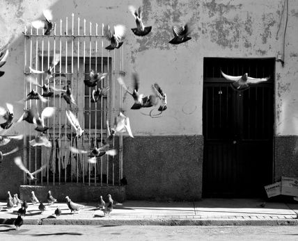 Freedom