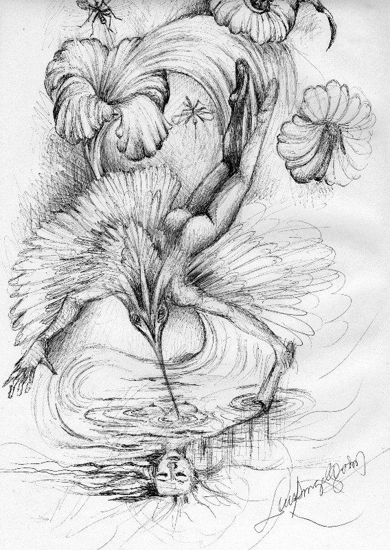 sueños