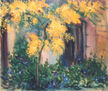 Mimosa