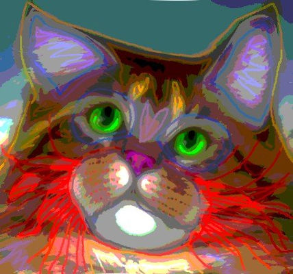 Don gato 002g
