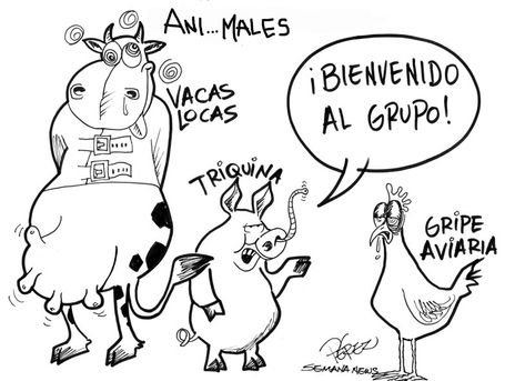 Gripe aviaria