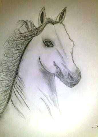 el caballo Charcoal