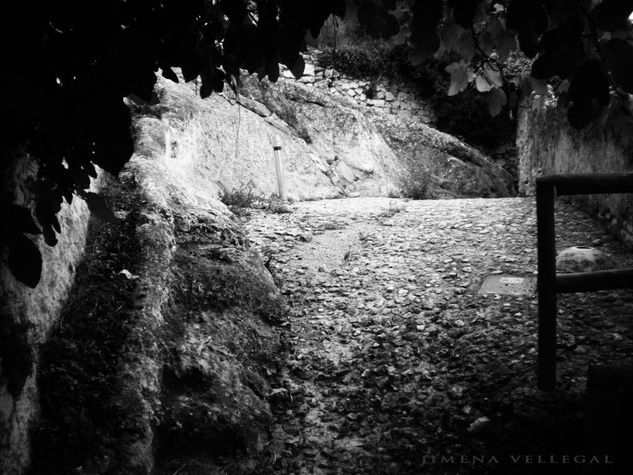 " La Ventana Vegetal " Travel Black and White (Digital)