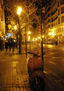 " Solitaria Vespa"