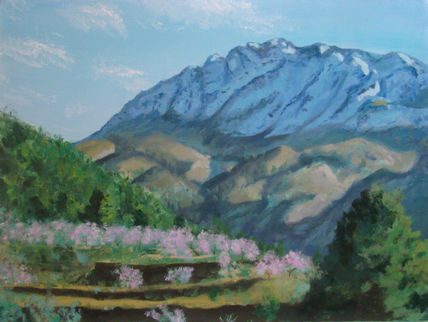 Paisatje