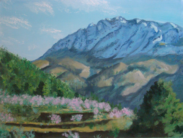 paisatje