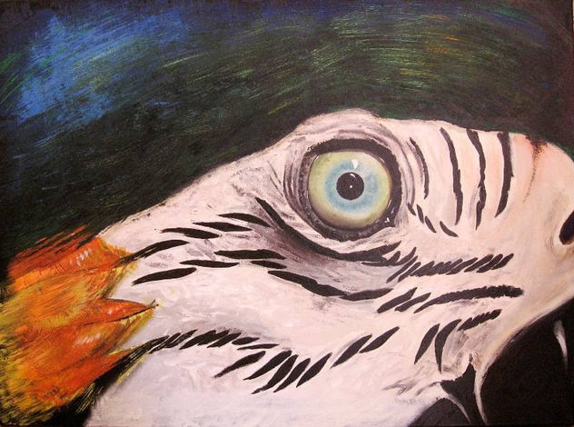 mirada
