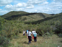 Caminando y observando