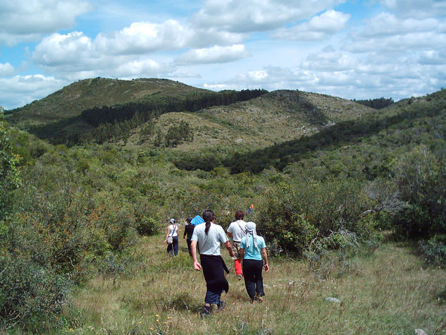 Caminando y observando 