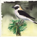 ilustrción naturaleza thumbnail 1