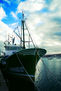 The Boat
