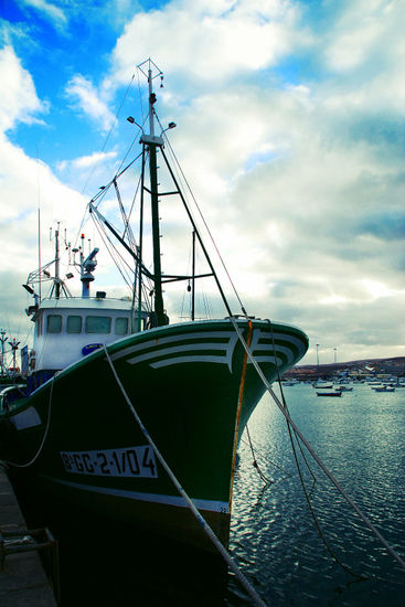 The Boat Naturaleza Color (Digital)