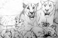 familia de leones