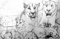 Familia de leones