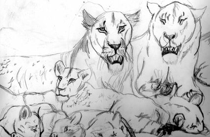 Familia de leones