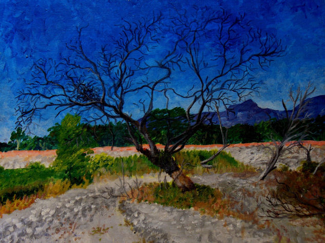 El arenal Oil Canvas Landscaping