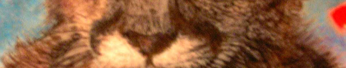Imagen de portada