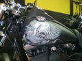 Eagle bike