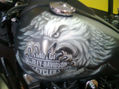 Eagle bike