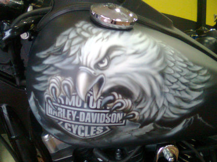 Eagle bike
