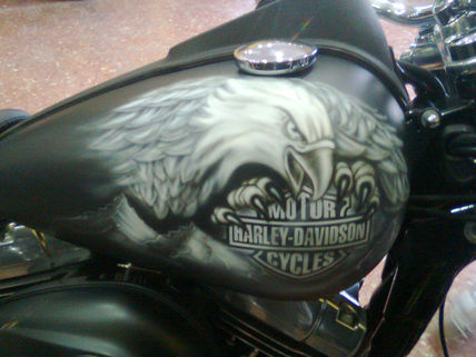 Eagle bike