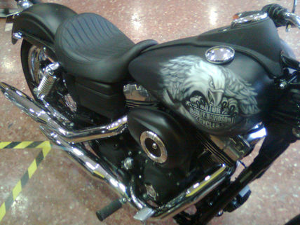 Eagle bike