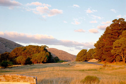 Patagonia 20