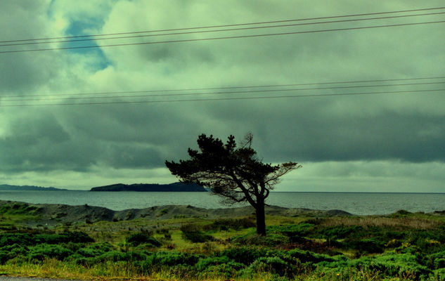 Misterio en Chiloé Travel Color (Manual)