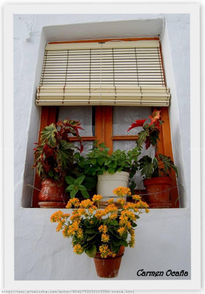 Ventana de Frigiliana