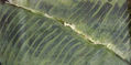 DESDE EL AIRE