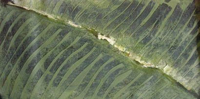 DESDE EL AIRE Óleo Lienzo Paisaje